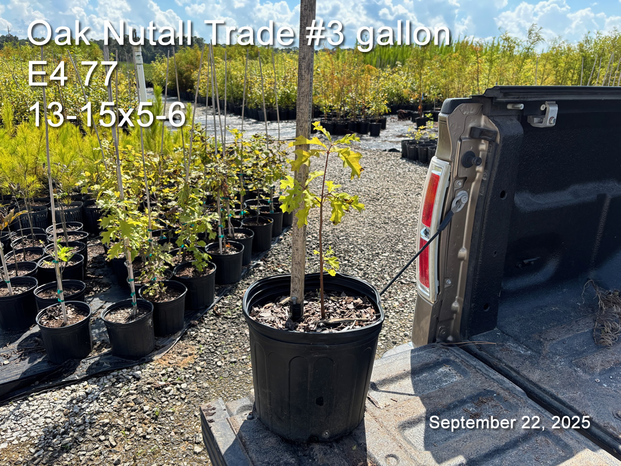 gallery/ont3t e4.77 sept22.jpg